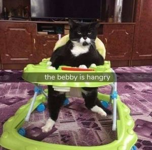 Meet your Posher, Candness